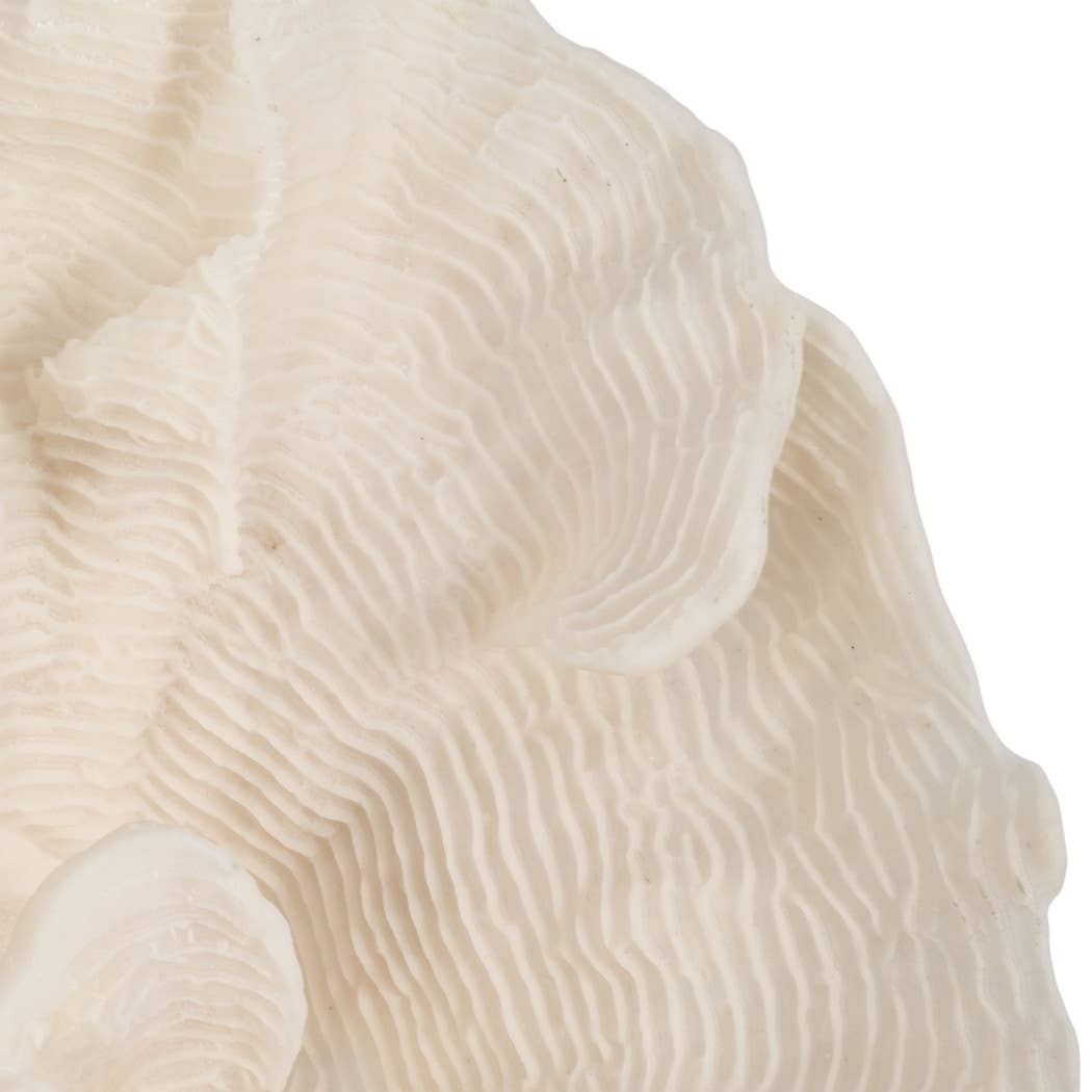 Sagebrook Home - Wholesale Decorative Figurine - Decorative Figurine - Ivory Resin Coastal Coral Fan, 12 in.7