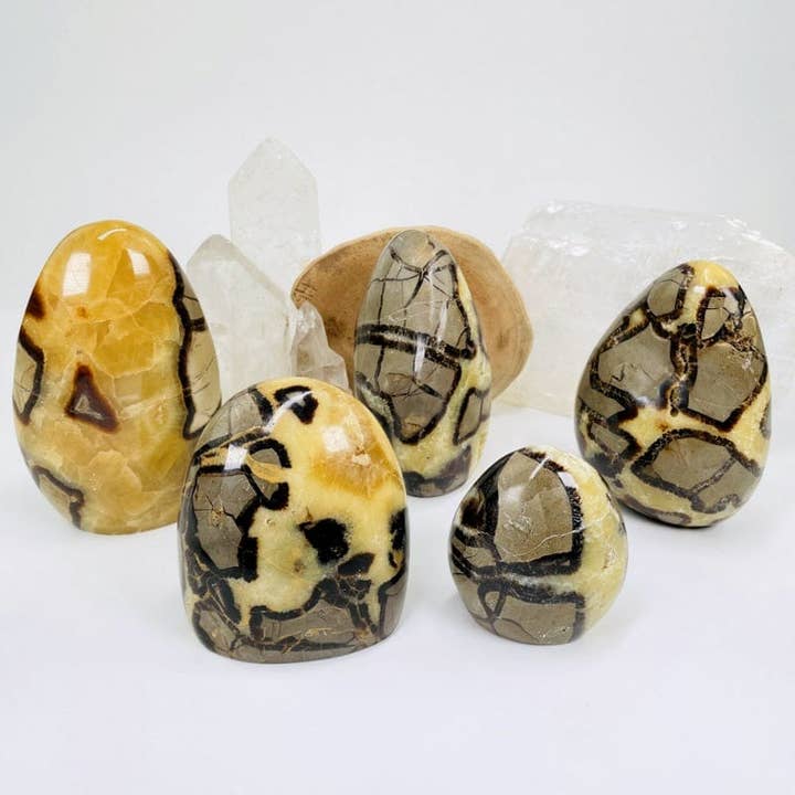Crystal Polished Septarian Cut Base - By Weight - for wholesale by Rock Paradise