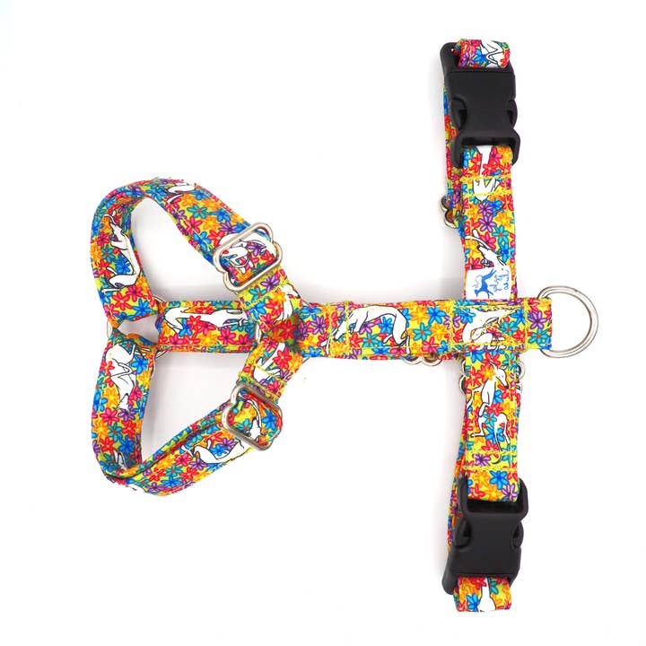 Harnais H Nous adorons les marguerites pour la vente par El galgo azul