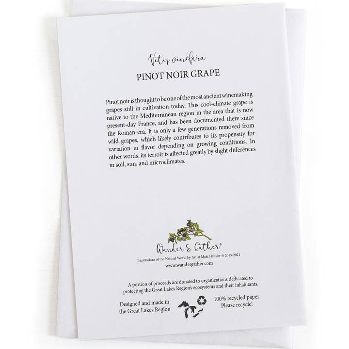 Wander & Gather - Wholesale Everyday greeting card - Pinot Noir Wine Grapes Fruit Garden Botanical 5x7 Card1