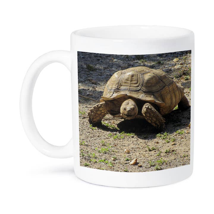 3dRose - Wholesale Coffee Mug - 3dRose, Giant Turtle, Mug8