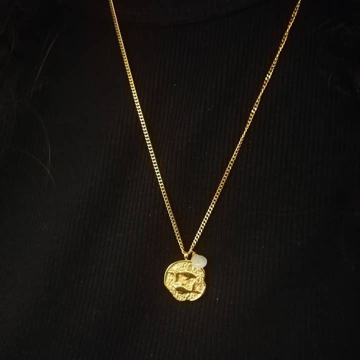 Aquamarine Fiskene Medal Stål Astrologi Halskæde for engroshandel hos Bijoux 7bis