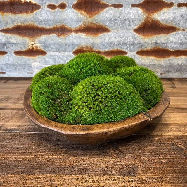 Forever Green Art - Vente Assiettes/plats/bols de décoration - Bol en bois rustique avec mousse d'humeur préservée4