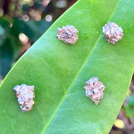 Pyrite Studs for wholesale by TillyRuth