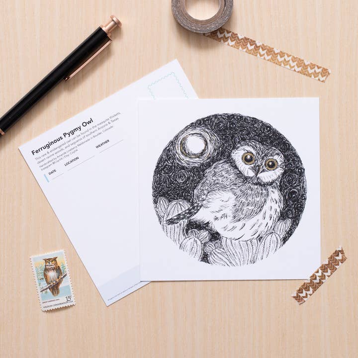 Desert Owl Art for wholesale by Coy Ink Studio