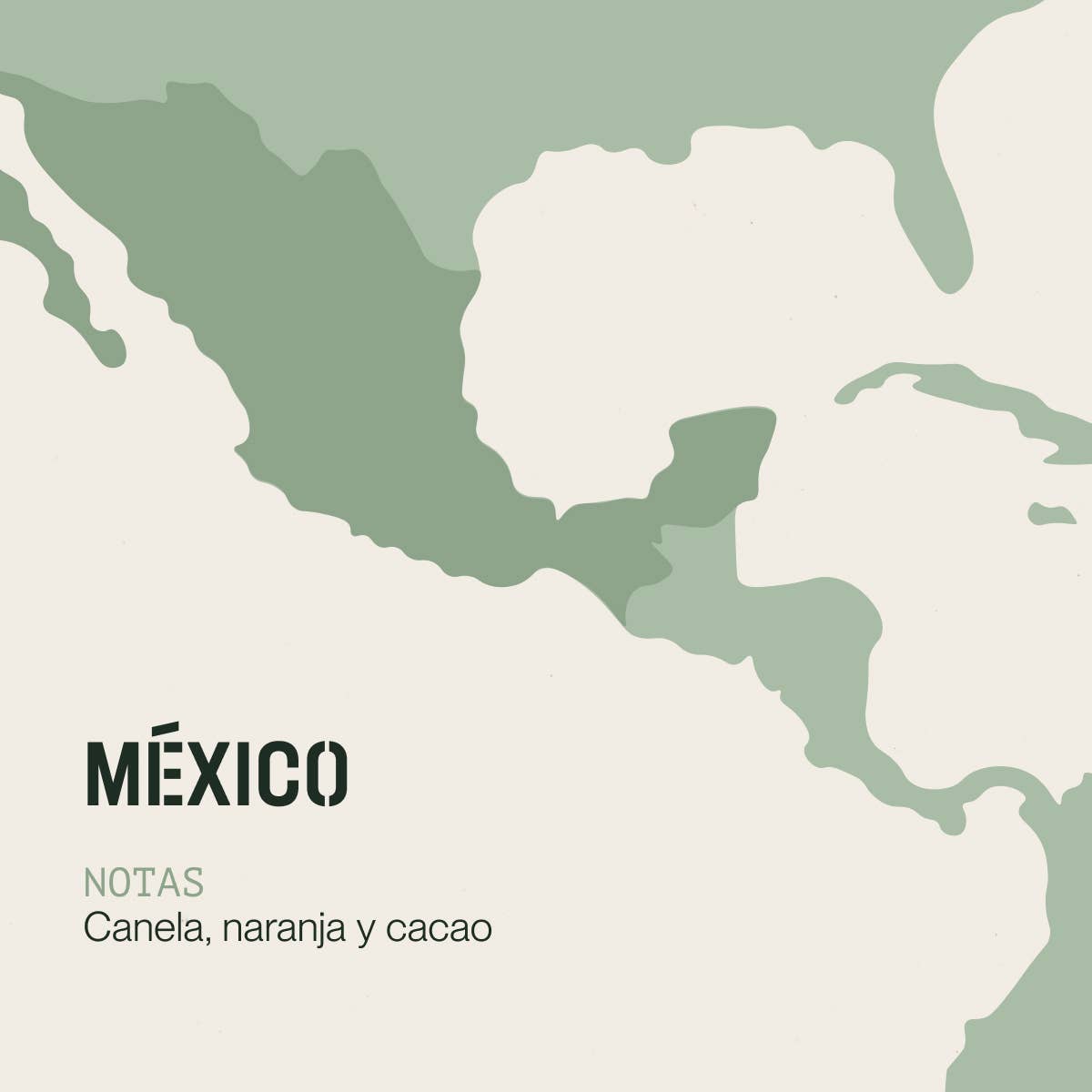 INCAPTO COFFEE – Grãos de café por atacado – Café de Grão Especial do México 100% Arábica3