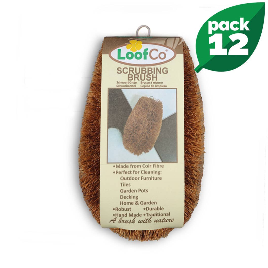 LoofCo - Loofahs & Coconut Brushes – wholesale Cleaning brush – Scrubbing Brush | BULK Box of 12 | 5% Discount0