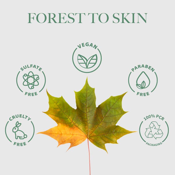 Clean Maple - Wholesale Body Wash/Shower Gel - Sap Water Hydrating Body Wash - Clean Maple Body Care4