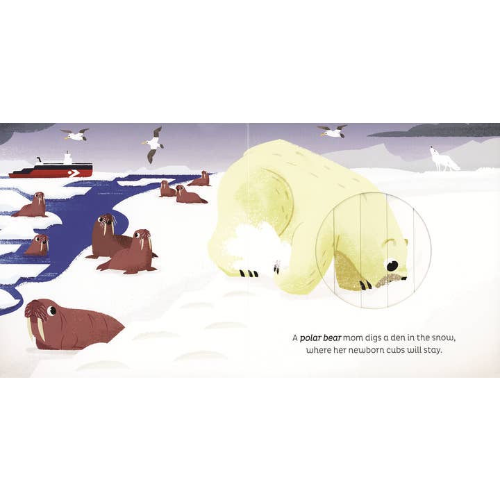EDC Publishing - Wholesale Book - Kids - Animal Magic: In the Snow