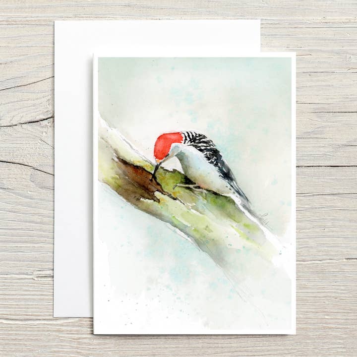 Fauna de América del Norte: Pájaro carpintero de vientre rojo para venta al por mayor de Christy Obalek Illustration