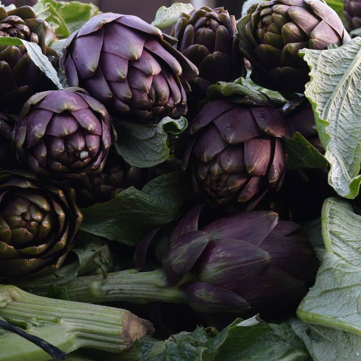 almasicily - Wholesale Pasta Sauce - Sicilian Artichoke Caponata Vase 240g3