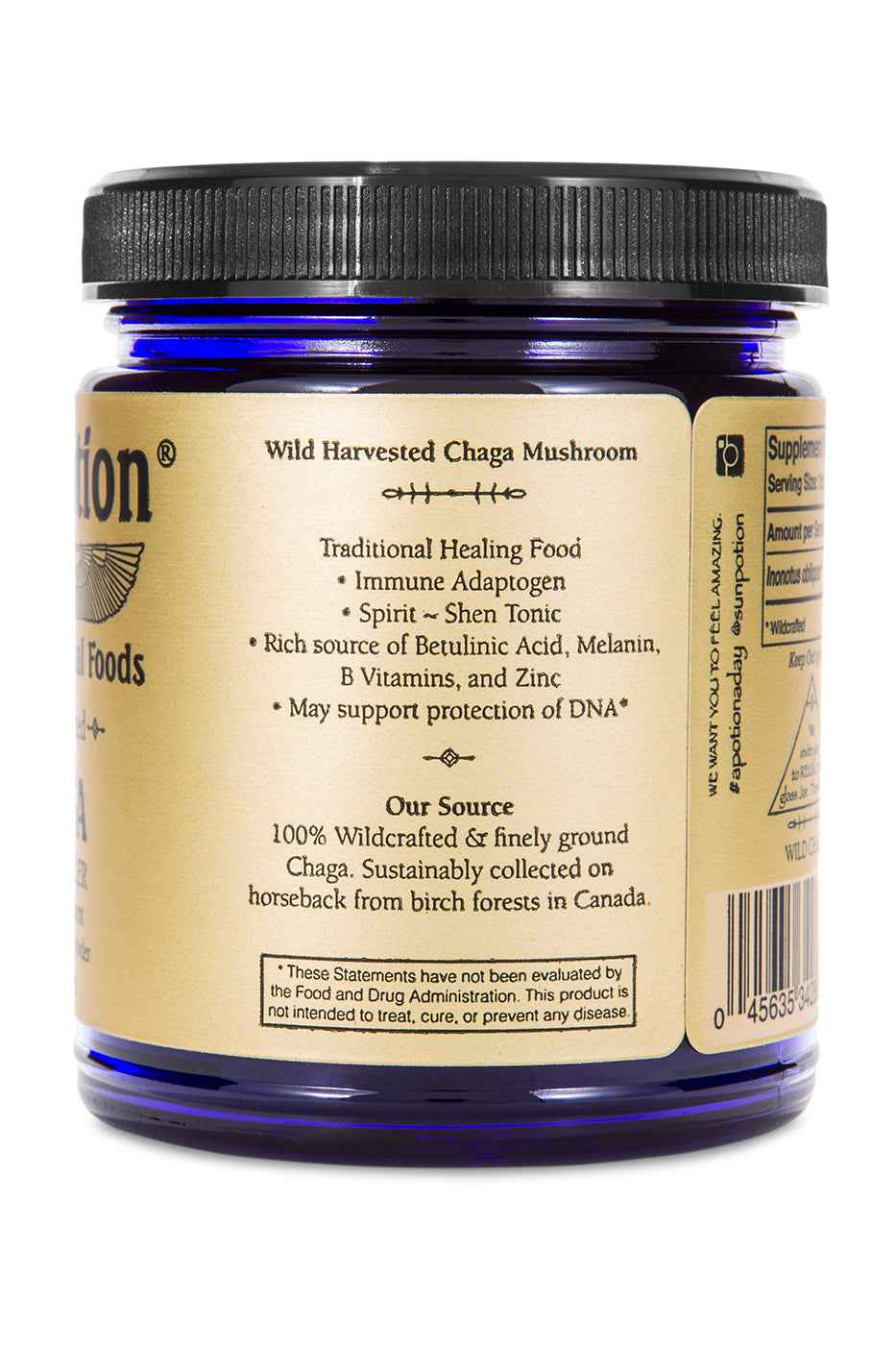 Sun Potion - Wholesale Protein/Superfood Powder - Chaga Mushroom Powder (Wildcrafted)5