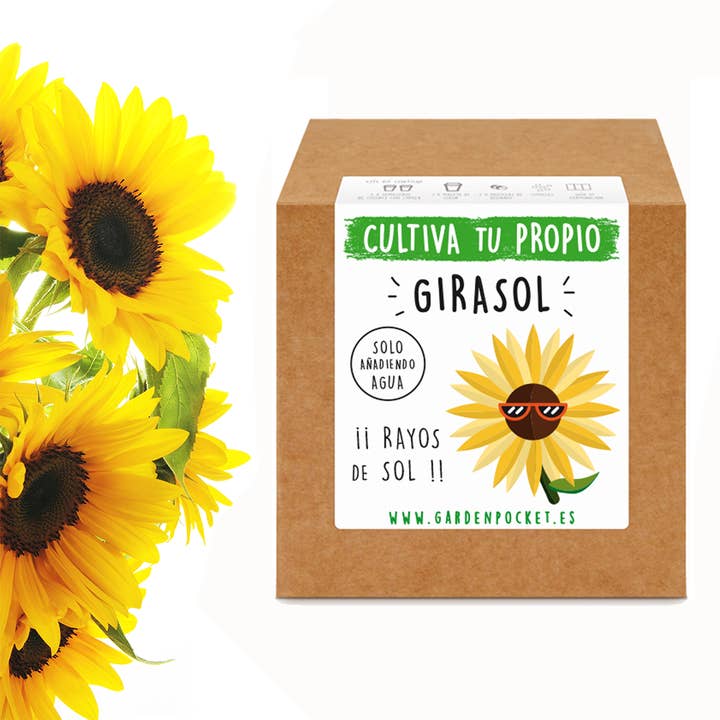 Garden Pocket - Wholesale Plant Seeds - UD - SUNFLOWER2