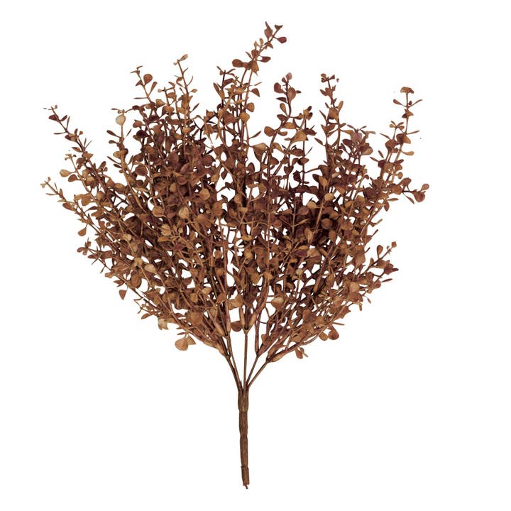 Bourgondië Rode babygrasstruik voor groothandel op Faire