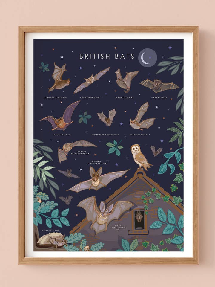 British Bats Wall Art Print A4 Unframed for wholesale by Angie Spurgeon Illustration and Design