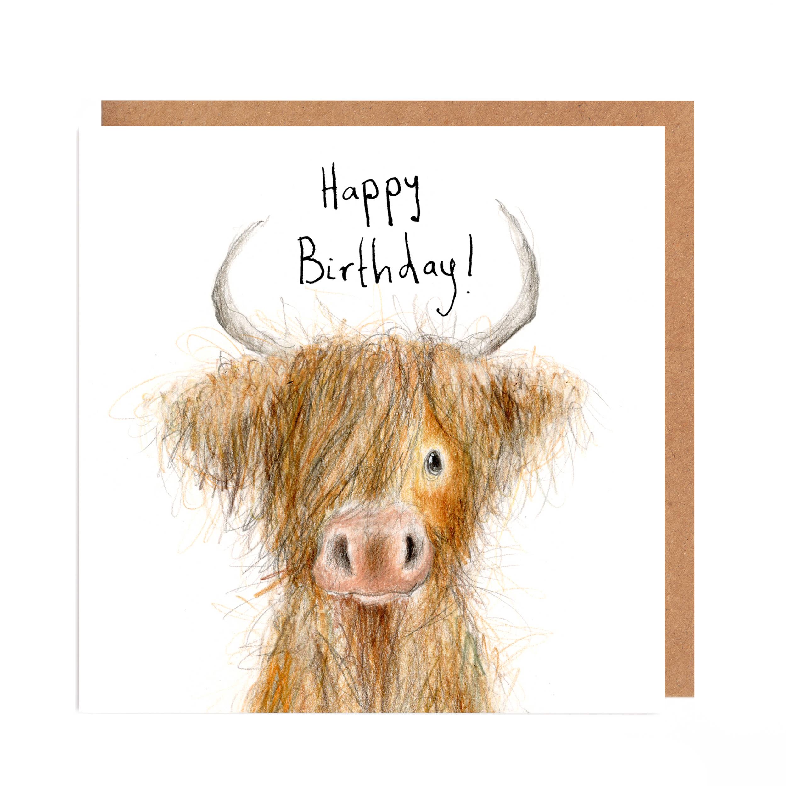 Catherine Rayner Trading Ltd – wholesale Birthday card – Quick Buy  - Bestseller Multipack of 60 cards9