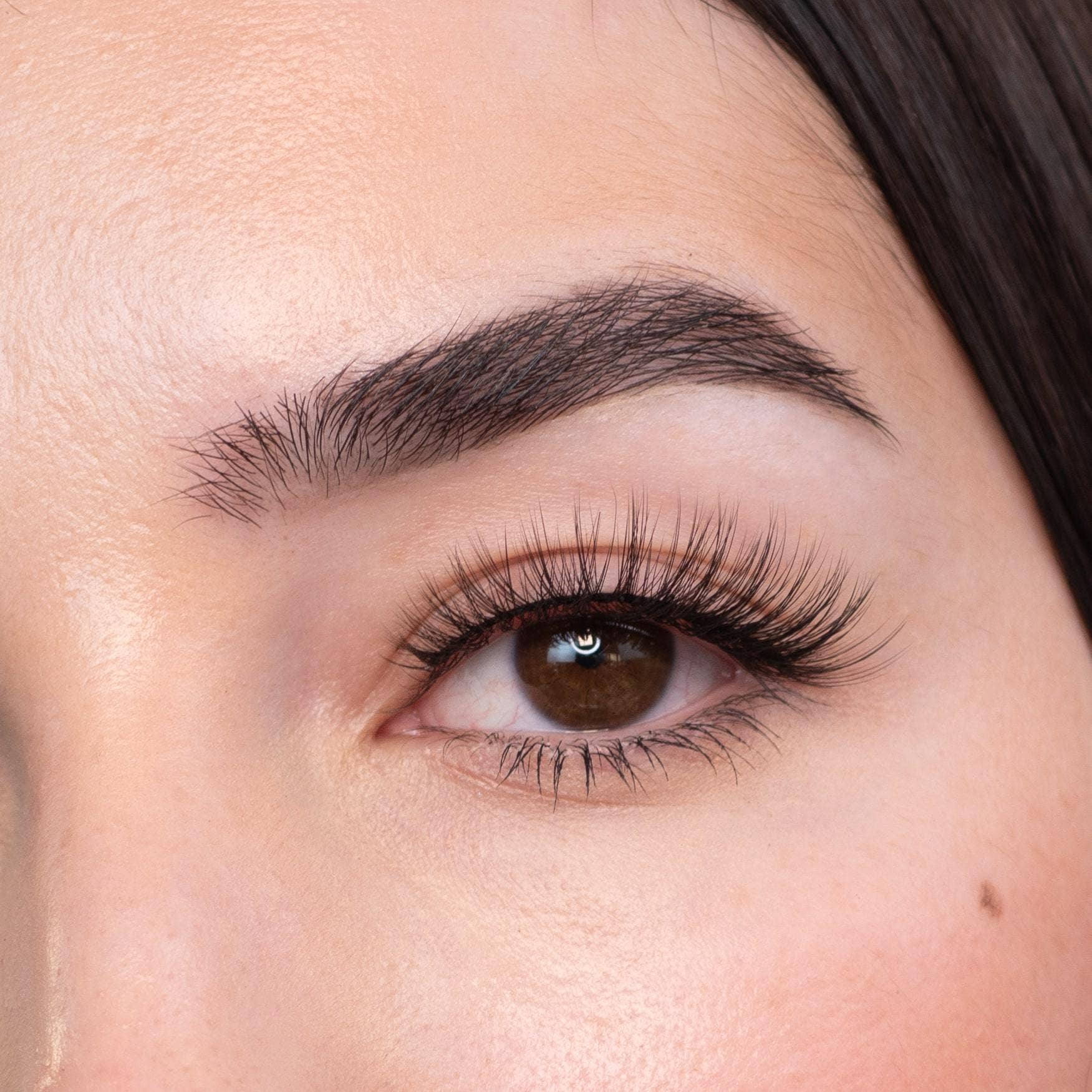 Bali Lash - Vente Faux cils - Faux-cils végétaliens de longueur standard Como6