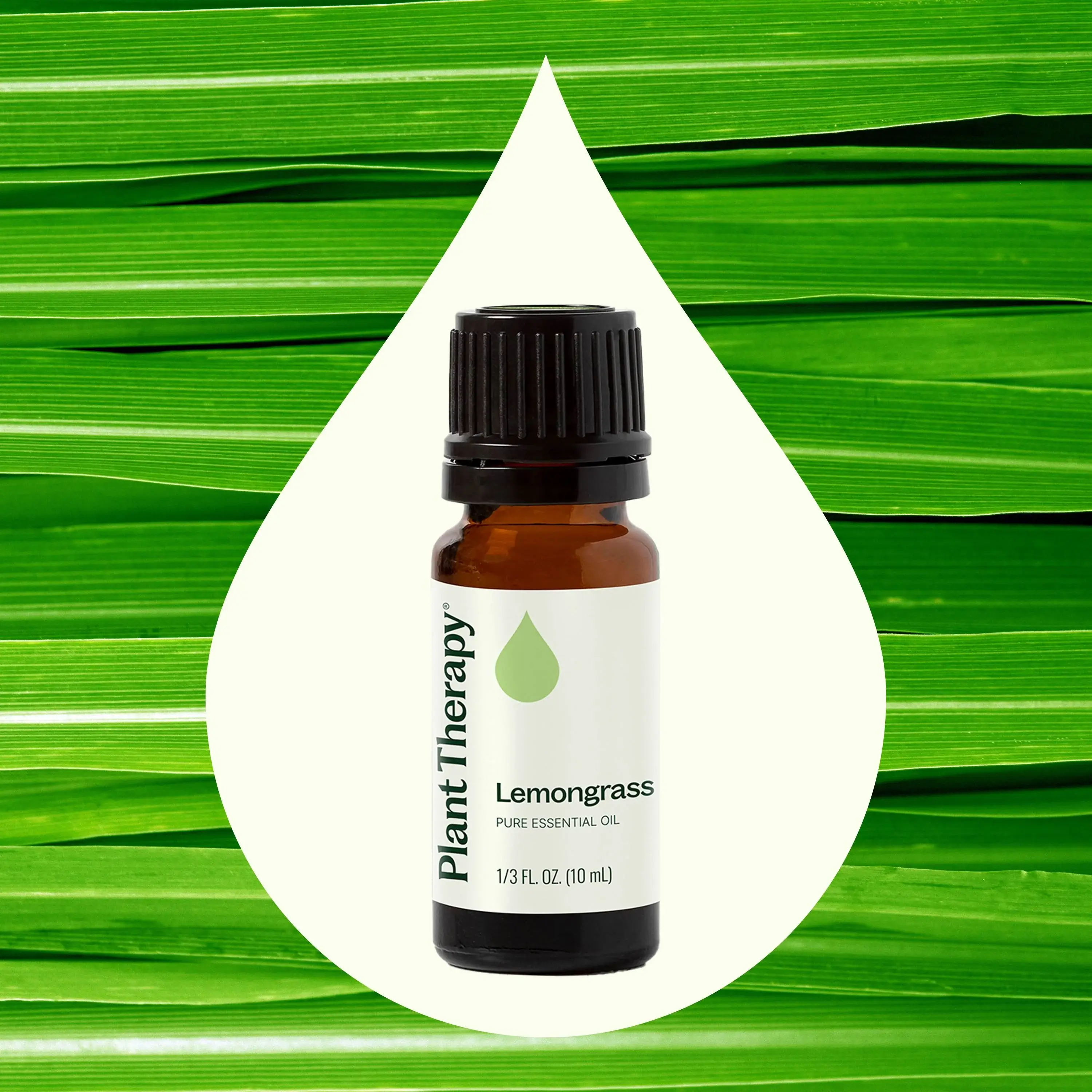 Plant Therapy - Wholesale Essential Oil - Lemongrass Essential Oil 10 mL2