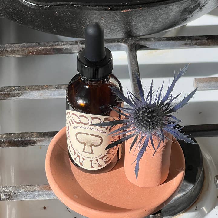 Wooden Spoon Herbs - Wholesale Tincture - Mushroom Magic
