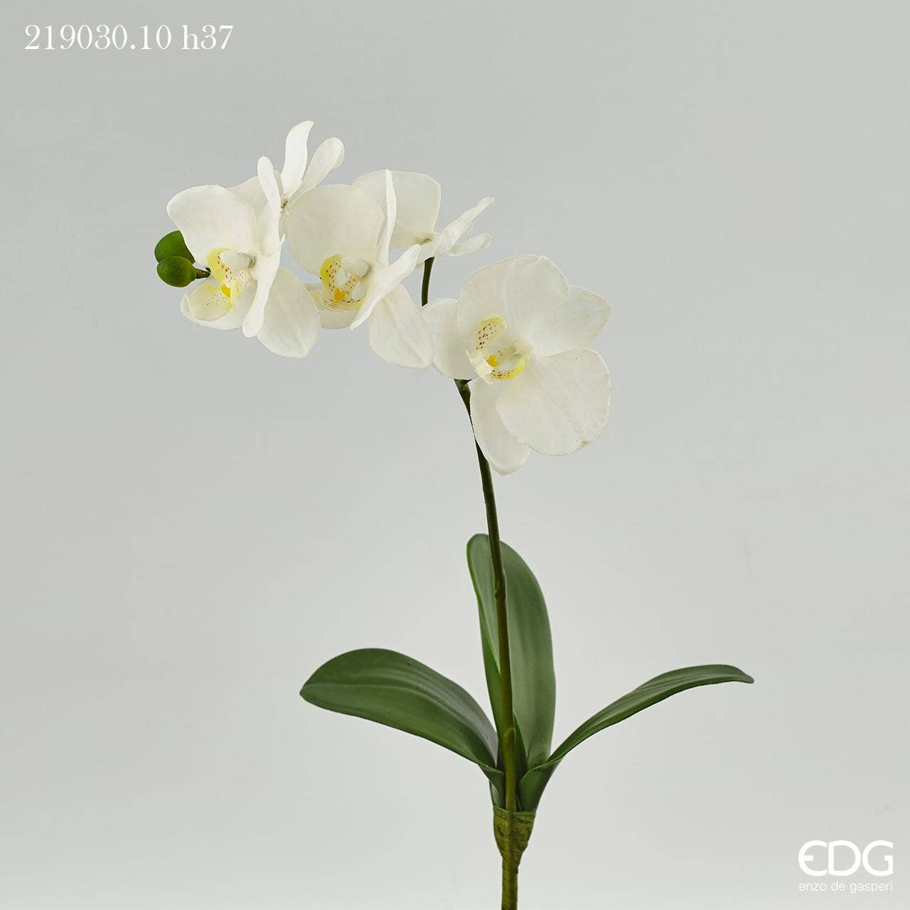 edg – wholesale Artificial flowers – PHAL ORCHID/LEAVES0