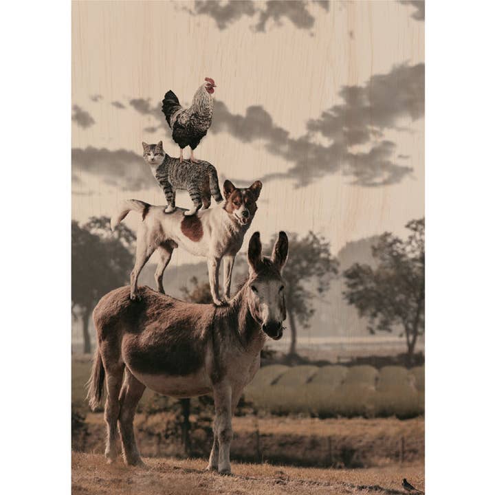 Tinycardz - Músicos da cidade de Bremen por atacado de Woodcardz