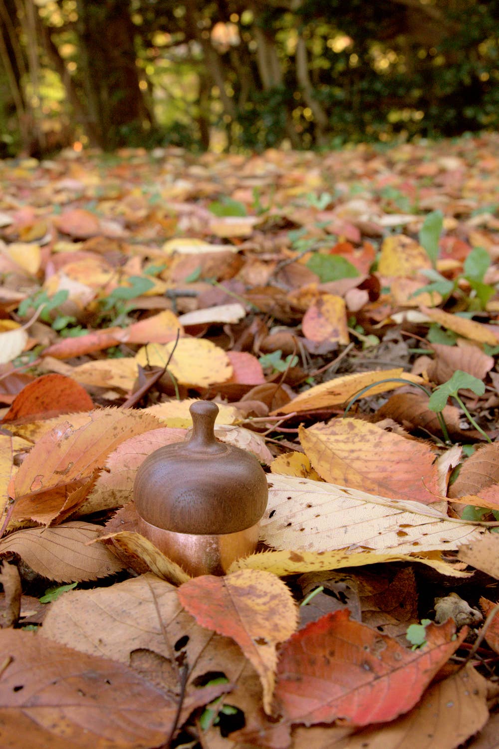 Japacolle — Japan Collections | See Latest News in "About" - Wholesale Bell - KSN Madoka Dongurin4