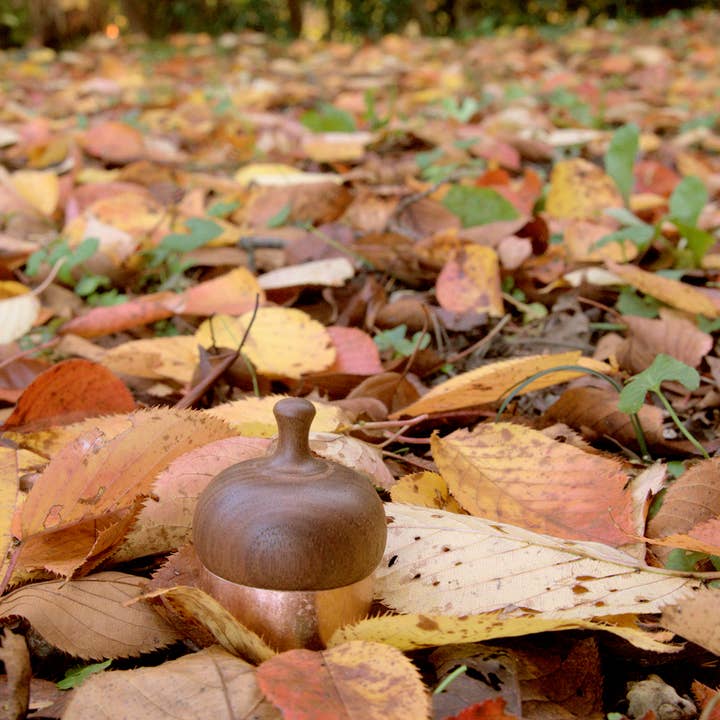 Japacolle — Japan Collections | See Latest News in "About" - Wholesale Bell - KSN Madoka Dongurin4