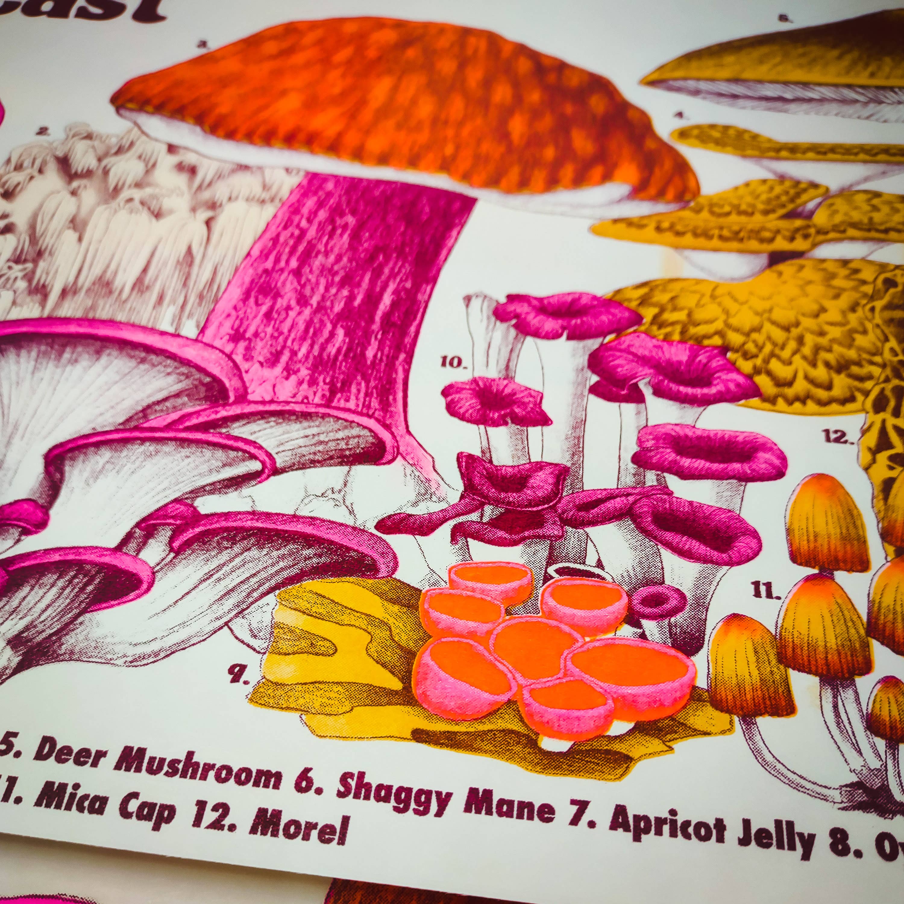 Psychedelic Lens - Wholesale Art Print - Mushrooms of the NE1