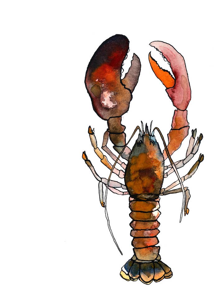 Lobster Print for wholesale by Brienne Cosman Design