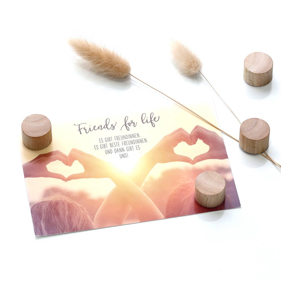 natuur Magneetset "Hout", 4-delig, hout voor groothandel op Faire2