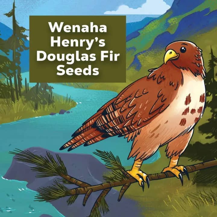 Wenaha Henry - Wholesale Plant Seeds - Wenaha Henry Doug Fir Seeds