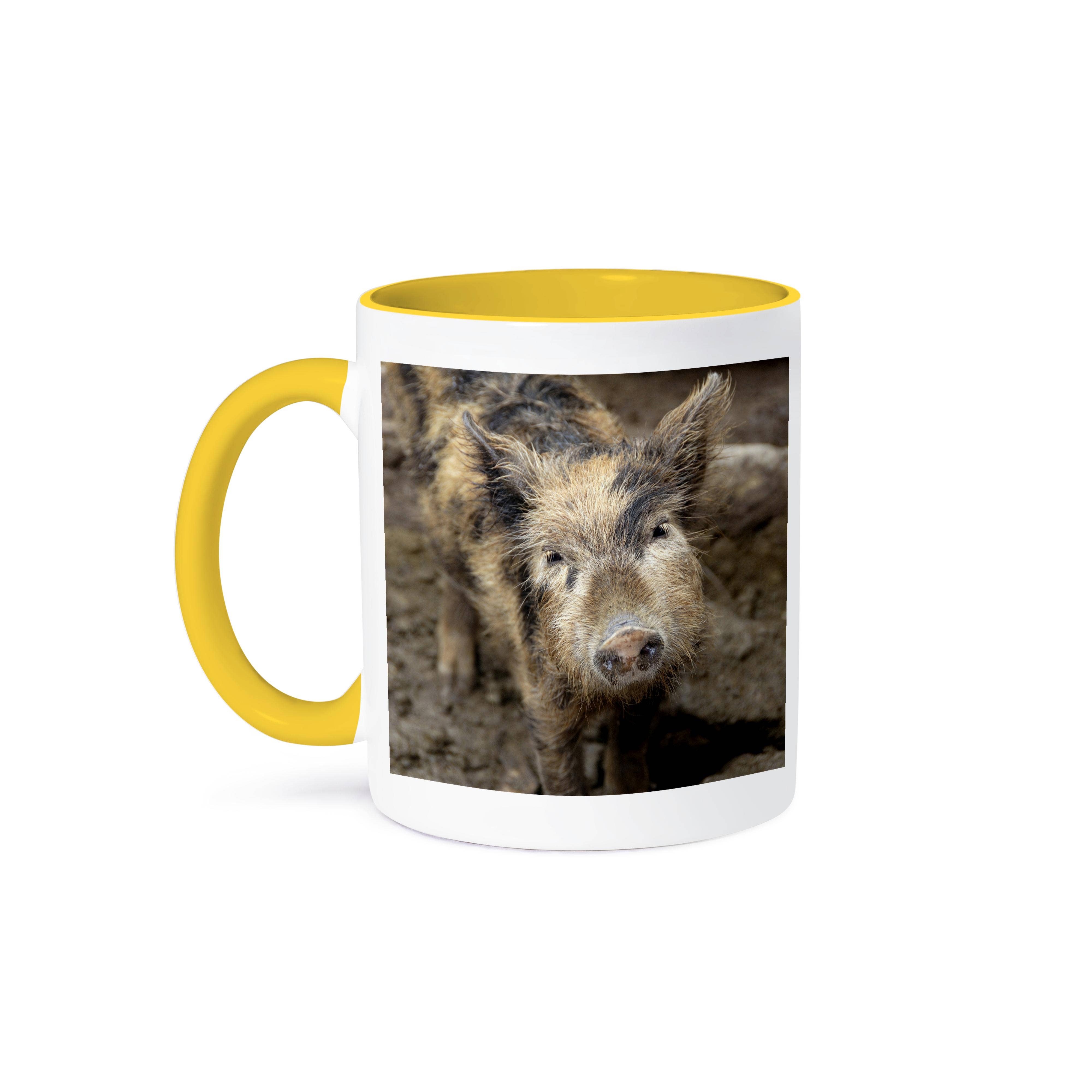 3dRose - Wholesale Coffee Mug - 3dRose, Ecuador, Manta, El Aromo, Farm animal, pig - SA07 CMI0017 - Cindy Miller Hopkins, Mug0