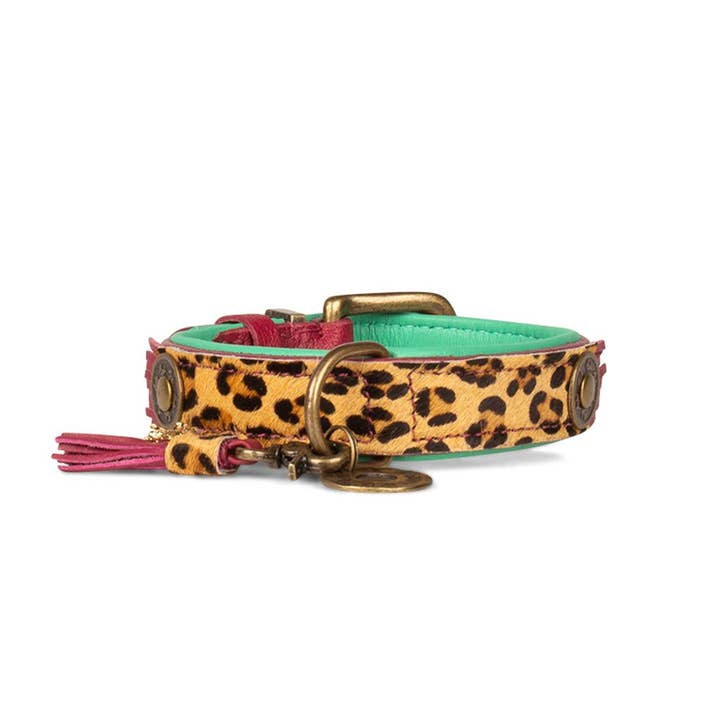Dog with a Mission - Wholesale Pet Collar - Dog - Lou Lou collar5