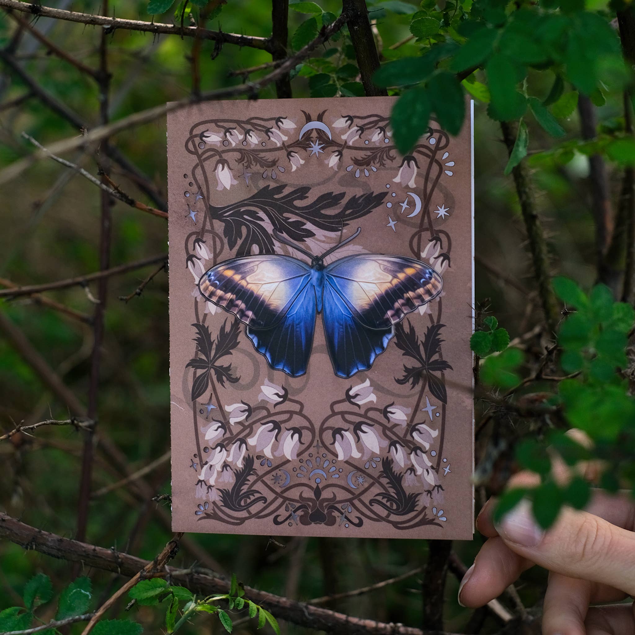 Moth and Myth – wholesale Everyday greeting card – Owl Butterfly Greeting Card with Removable Butterfly3