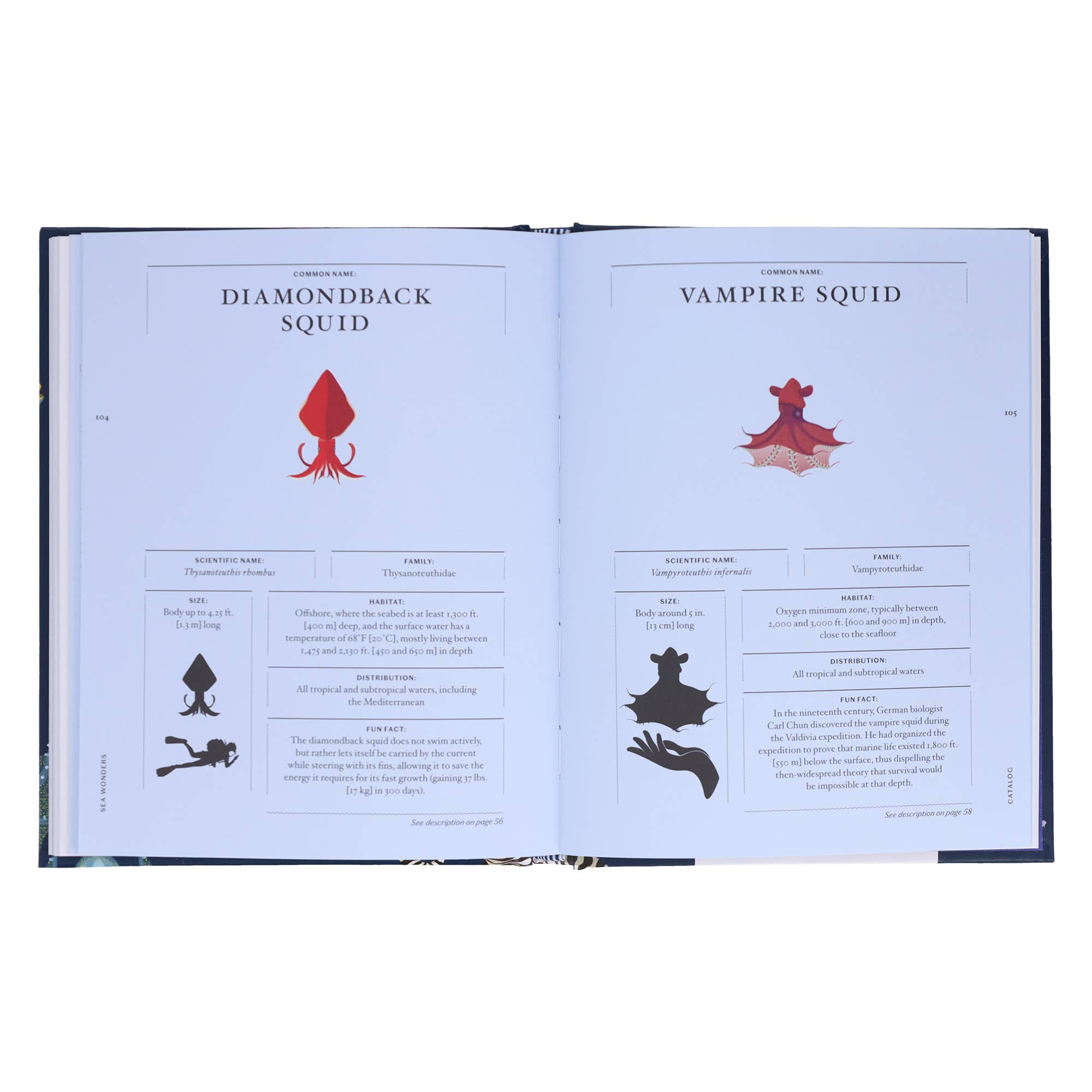 Chronicle Books - Wholesale Nature & Outdoors - Sea Wonders6