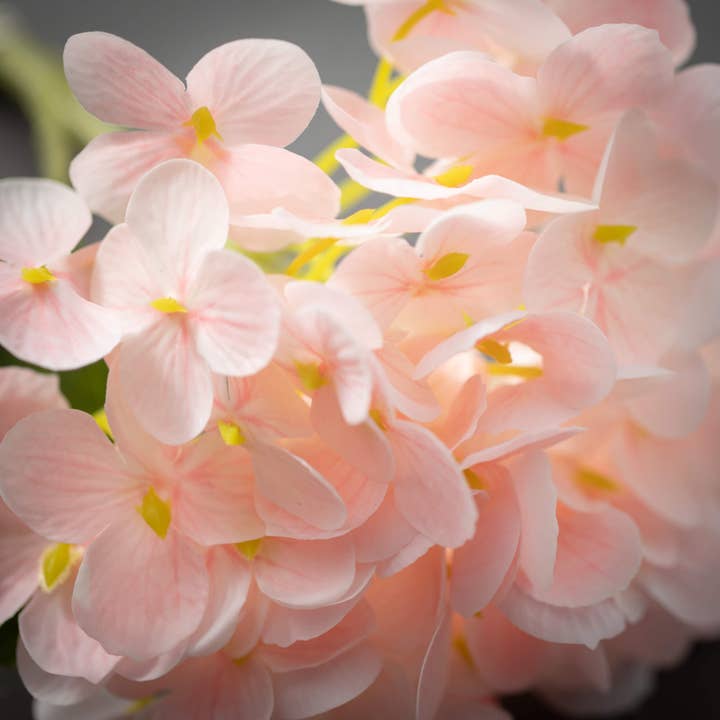 Sullivans Home Decor - Wholesale Artificial Flowers - Short Stem Light Pink Hydrange