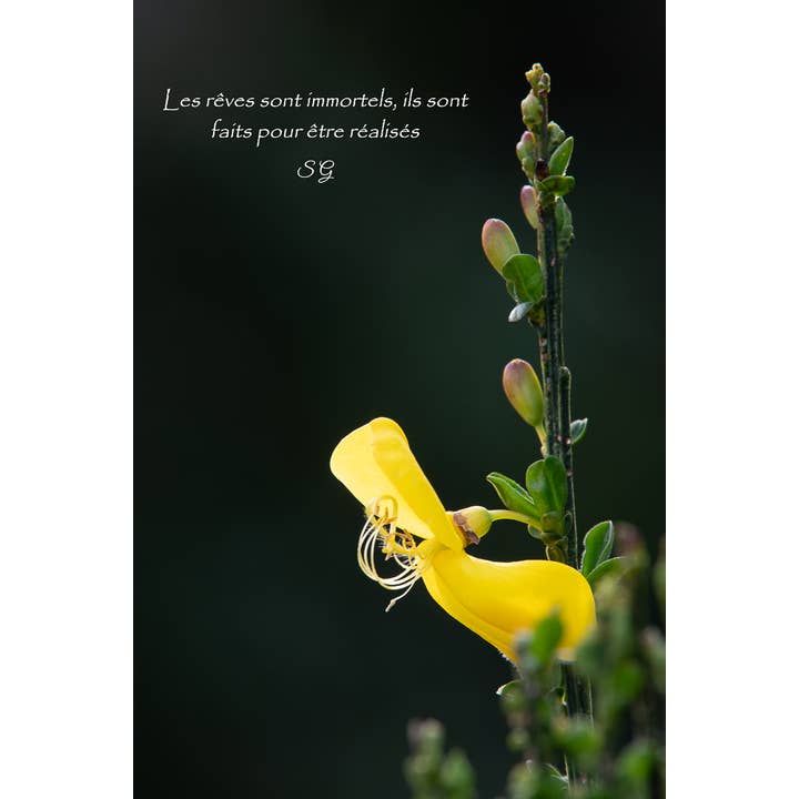 Smak för wholesale av L'Ecriture D'Un Regard