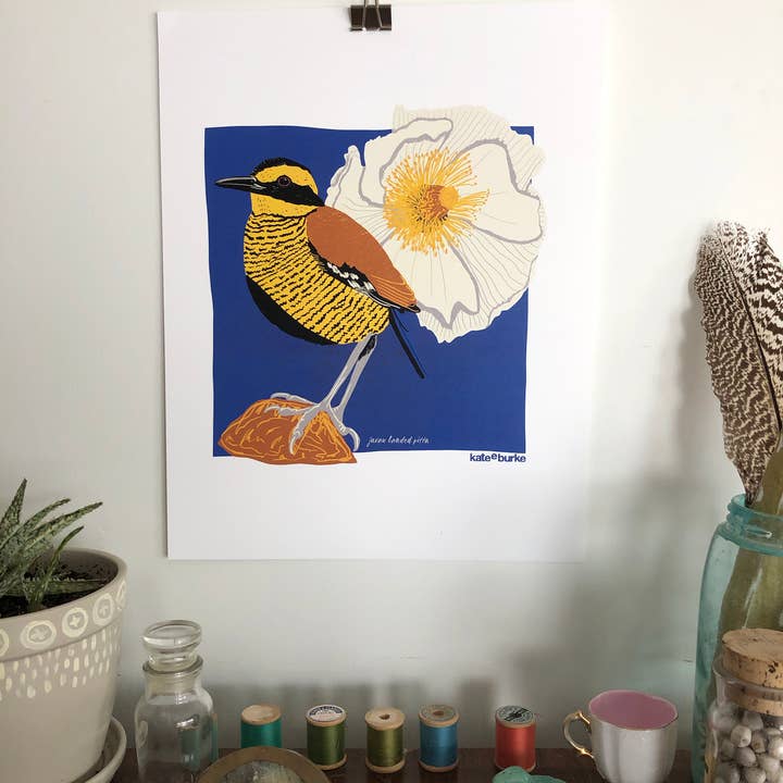 Kate E. Burke - Wholesale Art Print - Bird Series: Javan Banded Pitta 11x14 Digital Print