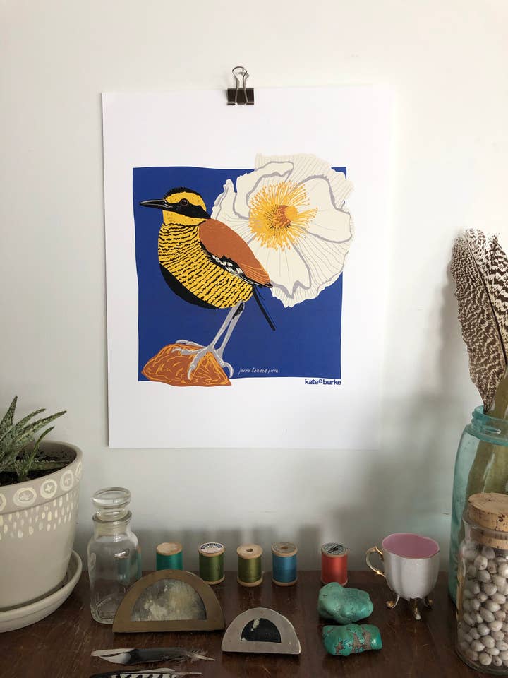 Série Bird: Impressão digital Javan Banded Pitta 11x14 por atacado de Kate E. Burke