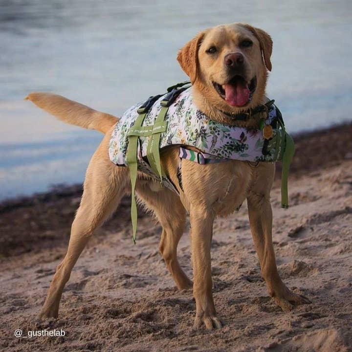 Stylish Hound - Wholesale Pet Jacket - Dog - Evergreen Dog Swim Jacket