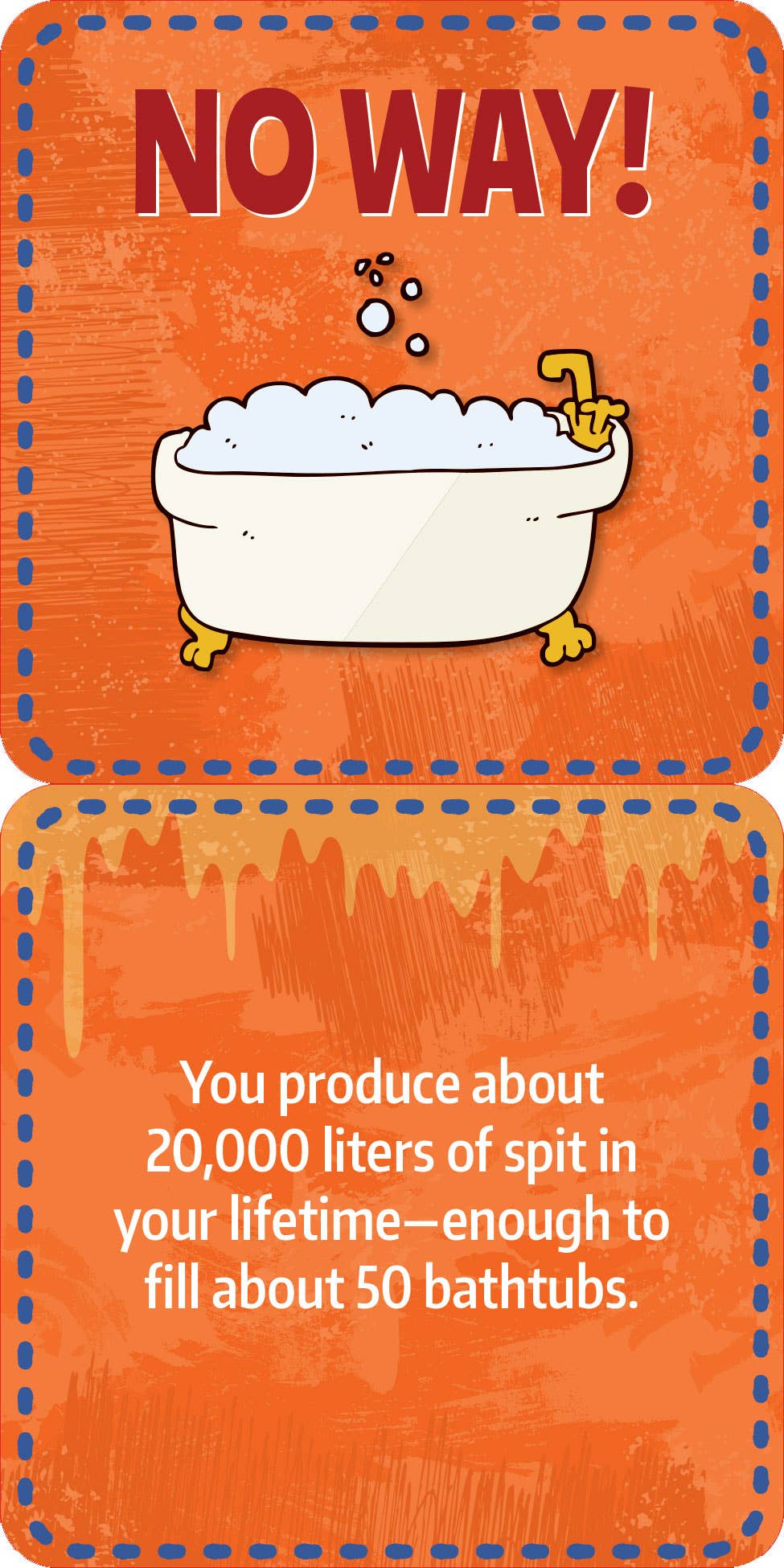 Peter Pauper Press - Wholesale Learning Cards - Kids & Baby - Gross Facts Lunch Box Notes for Kids!3