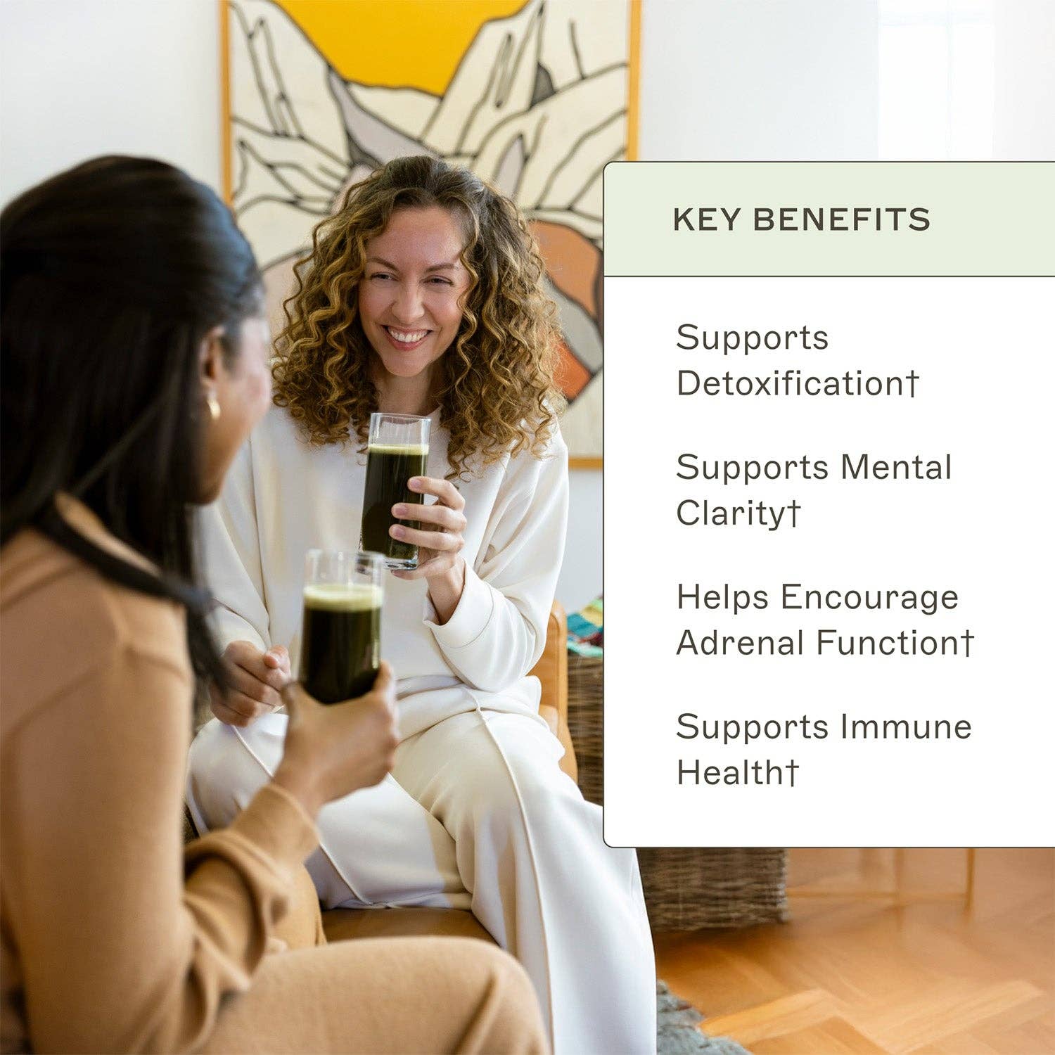 AMMD™ by Amy Myers MD® - Wholesale Protein/Superfood Powder - Organic Greens2