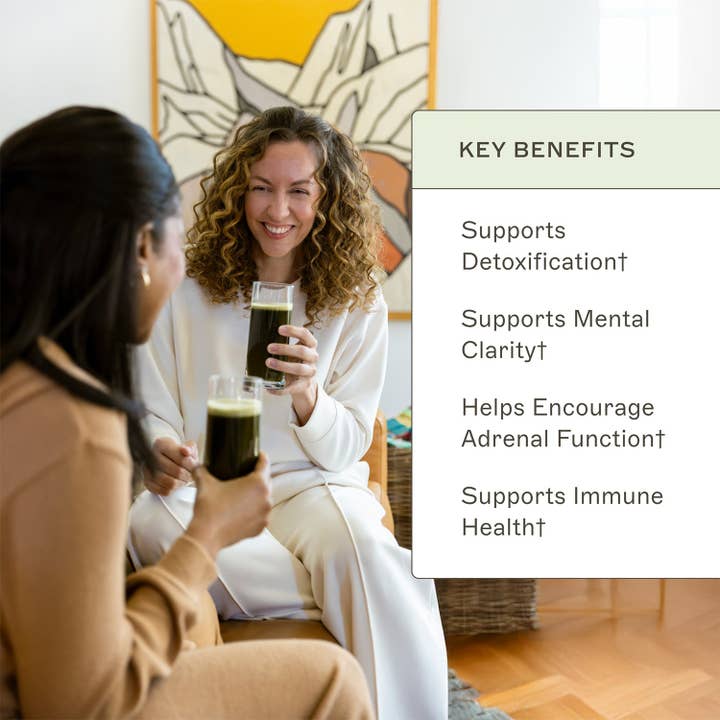 AMMD™ by Amy Myers MD® - Wholesale Protein/Superfood Powder - Organic Greens2