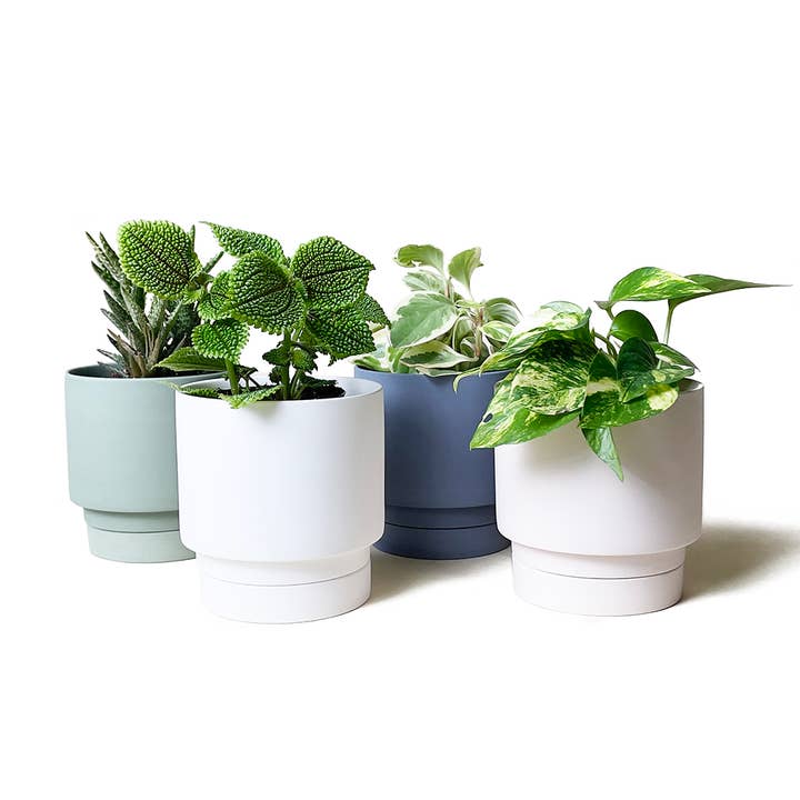 Casey Pots et Jardinières avec Trou de Drainage et Soucoupe pour la vente par Chive Canada