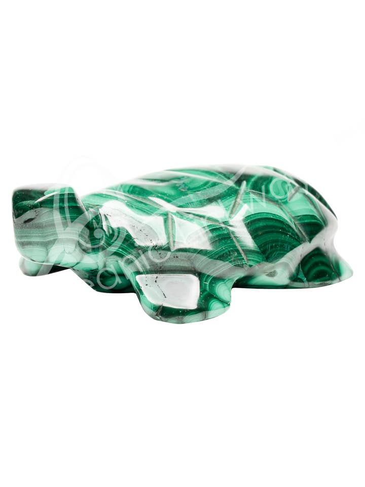 SCHNITZEREI - SCHILDKRÖTENMALACHIT 2-3" (KG) für den Großhandel von Oceanic Linkways Inc