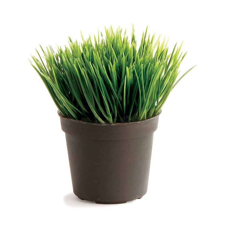 Mini Potted Grass 3.5" for wholesale by Napa Home & Garden
