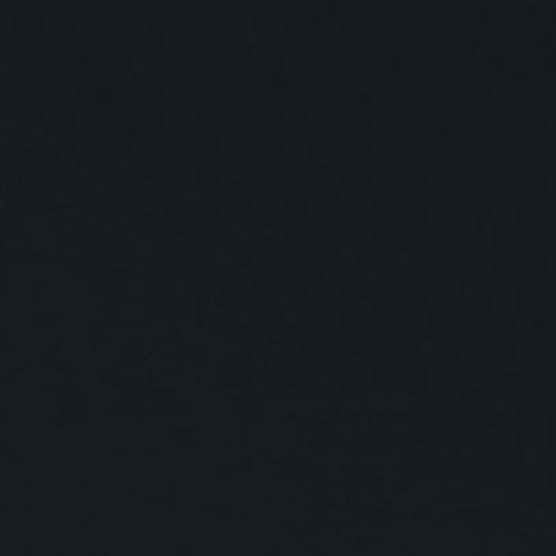 Down South Designer Customs - Vente Plaids - Couverture de stade en molleton Gildan4