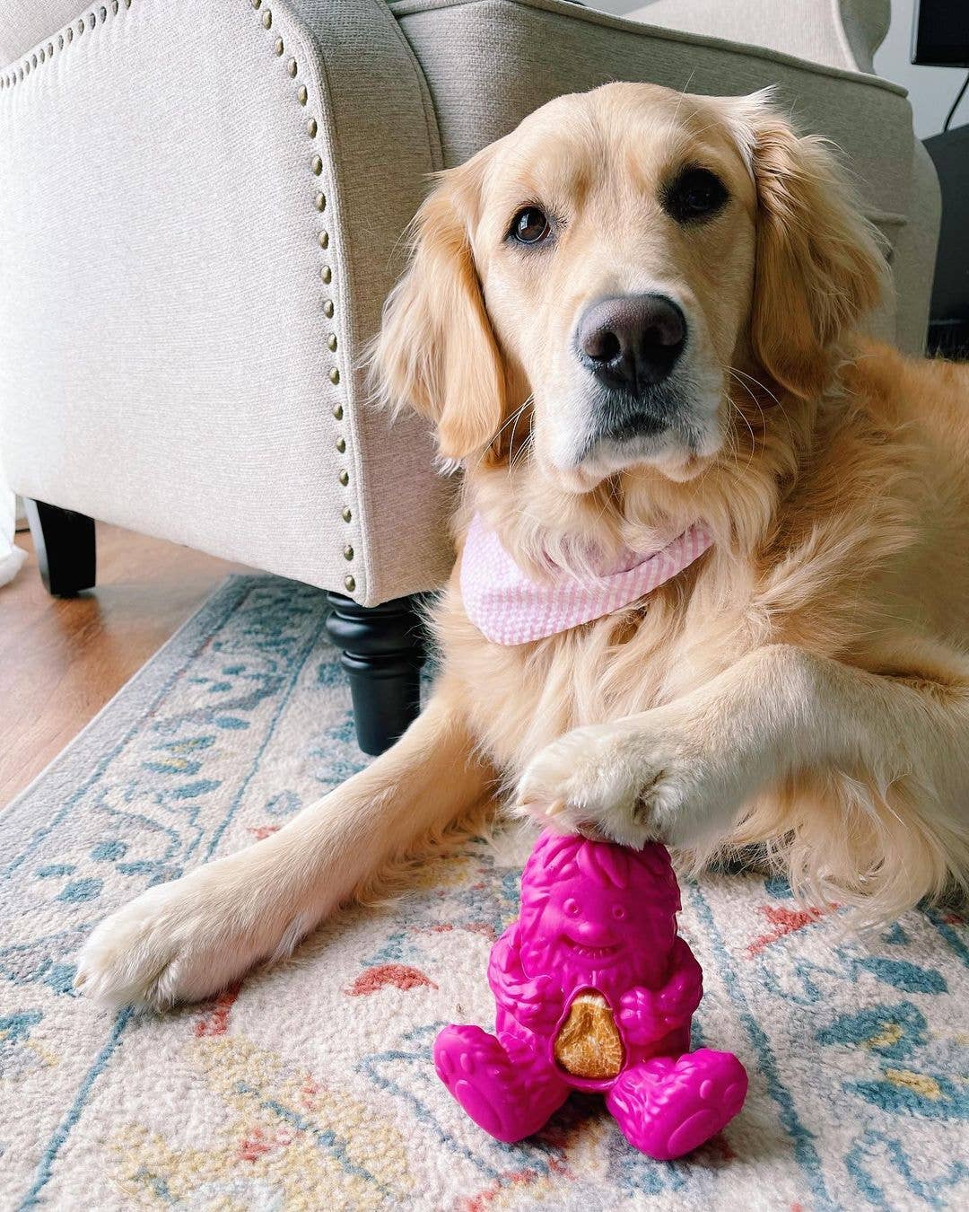 Yeti Dog Chew - Wholesale Pet Treats - Dog - Yeti Yak Cheese Dog Nuggets Treats, 15 Pieces, 7 Oz6