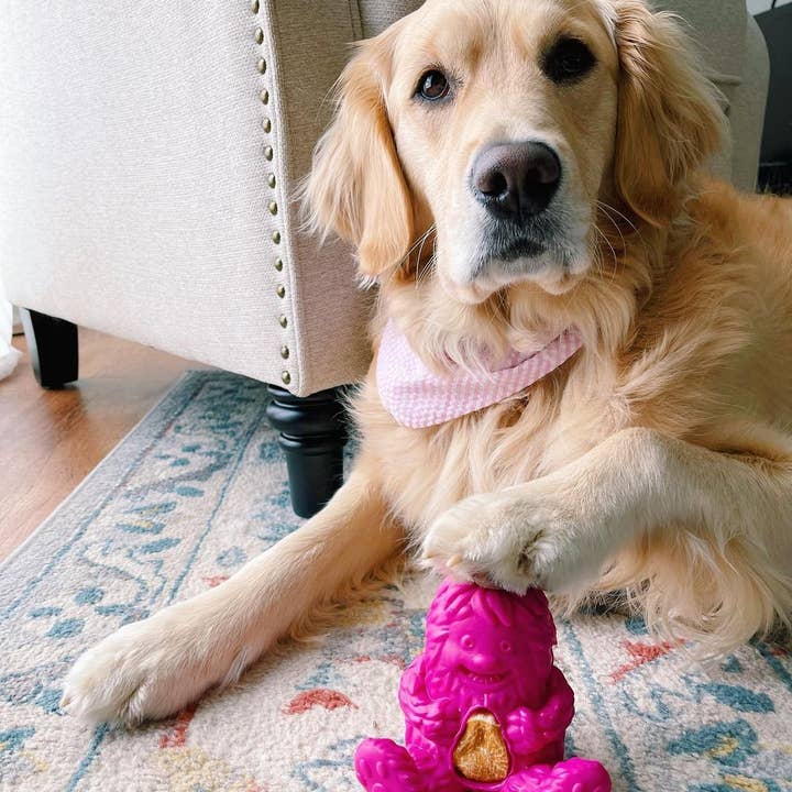 Yeti Dog Chew - Wholesale Pet Treats - Dog - Yeti Yak Cheese Dog Nuggets Treats, 15 Pieces, 7 Oz6