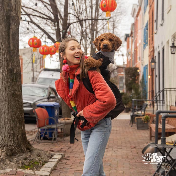 K9 Sport Sack - Venta al por mayor Transportín - Perros - Knavigate | Transportín avanzado para perros con estructura interna y cinturón lumbar17